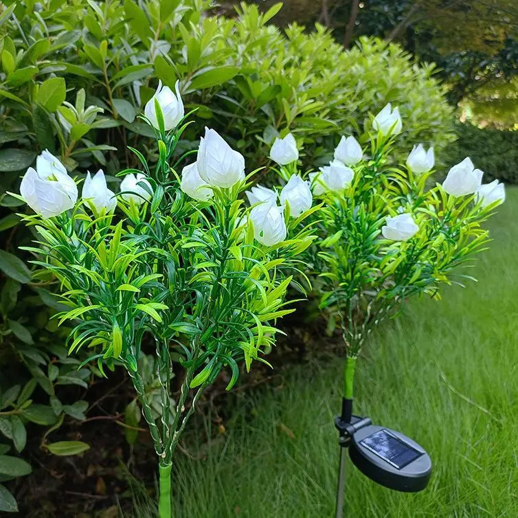 GardeniaGlow - Solar Gardenia Lichter