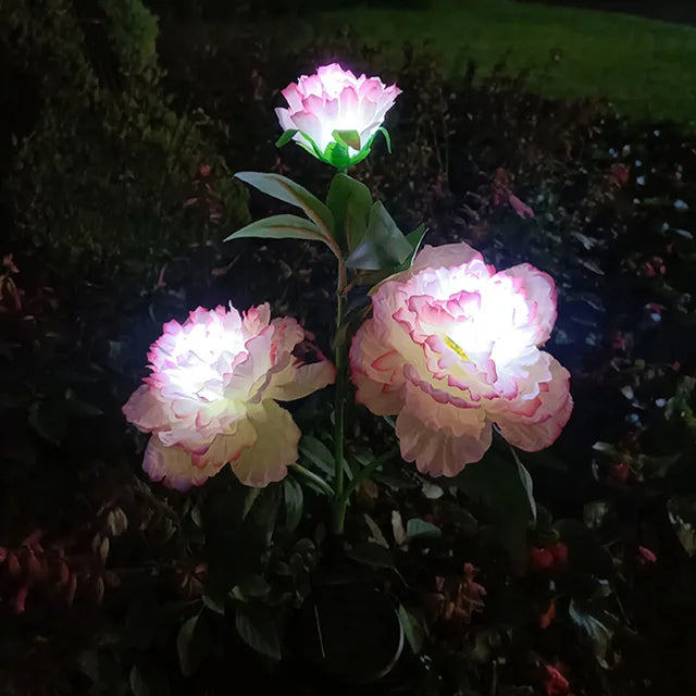 PeonyGlow - Solarbetriebenes Blumenlicht