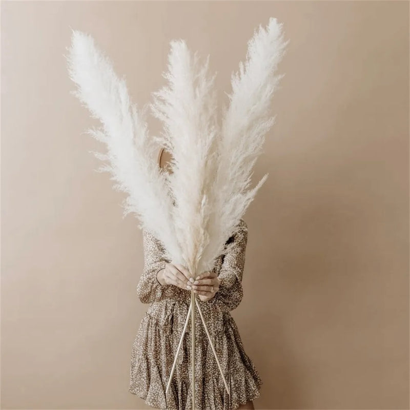 FeatherFawn - Pampas Getrocknete Blumen