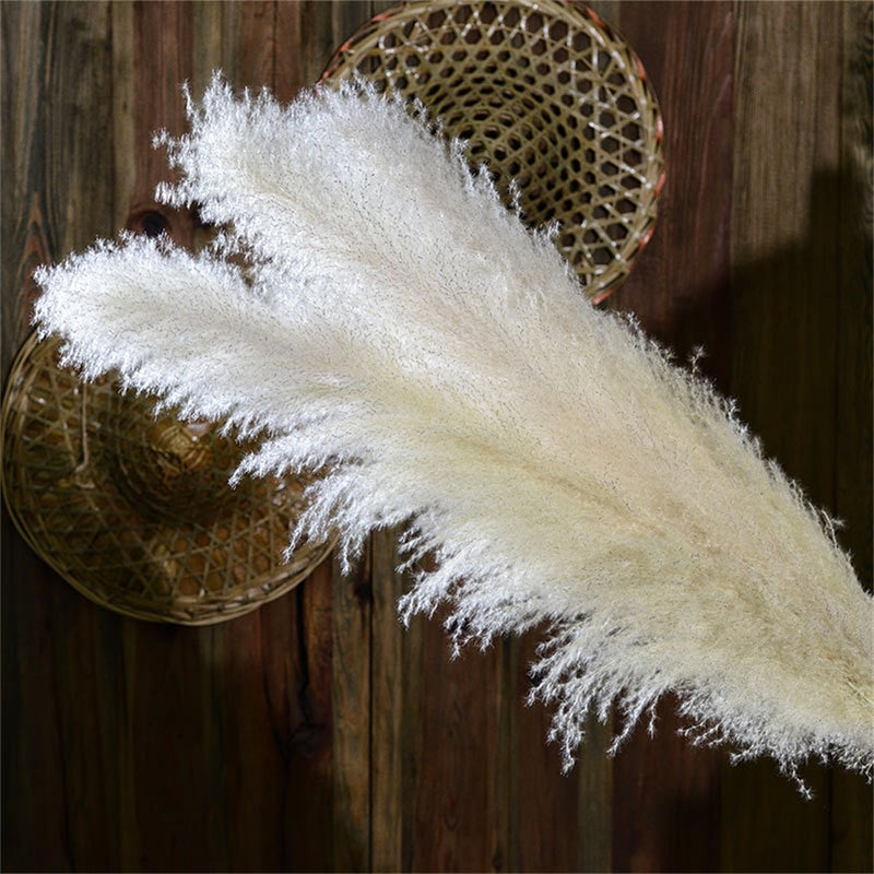 FeatherFawn - Pampas Getrocknete Blumen