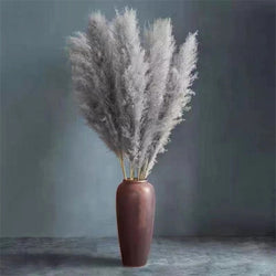 FeatherFawn - Pampas Getrocknete Blumen