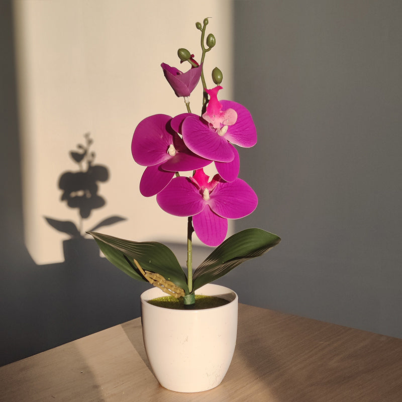 ZenBloom  | Künstliche Bonsai-Orchidee