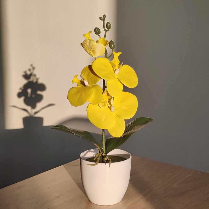 ZenBloom  | Künstliche Bonsai-Orchidee