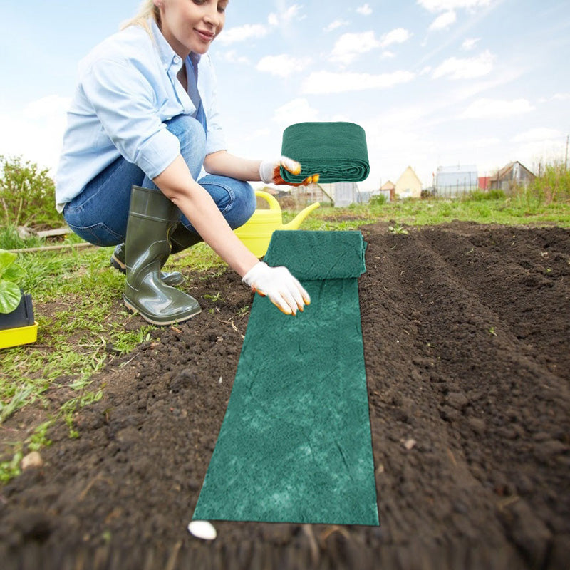 Biologisch abbaubares Grasmatten-Saatgut